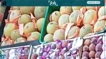 أسعار الفاكهة في أسواق الأقصر تتغير الثلاثاء 14 أكتوبر 2025